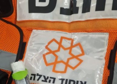 צילום: איחוד הצלה און ליין