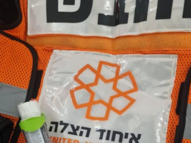 צילום: איחוד הצלה און ליין