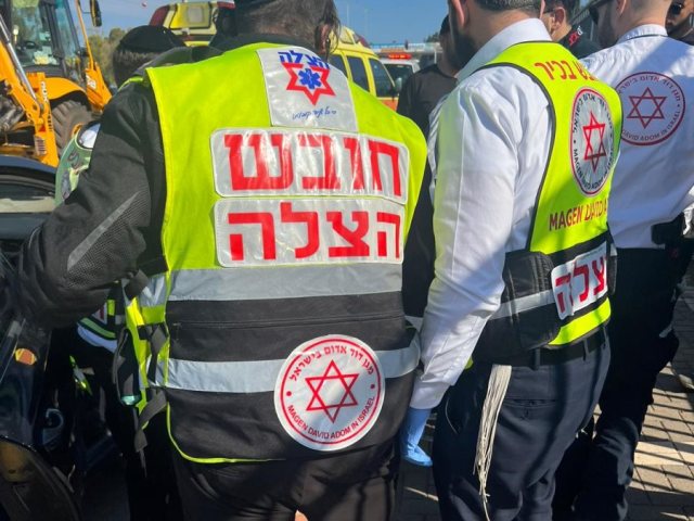 אילוסטרציה: דוברות איחוד הצלה