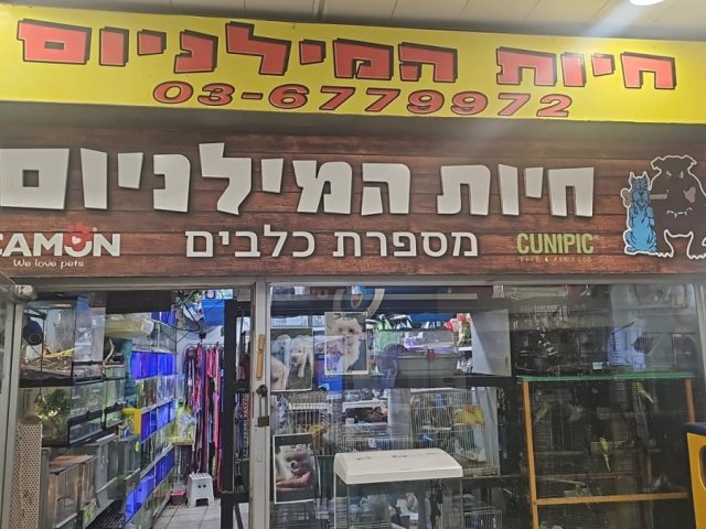 מערכת 